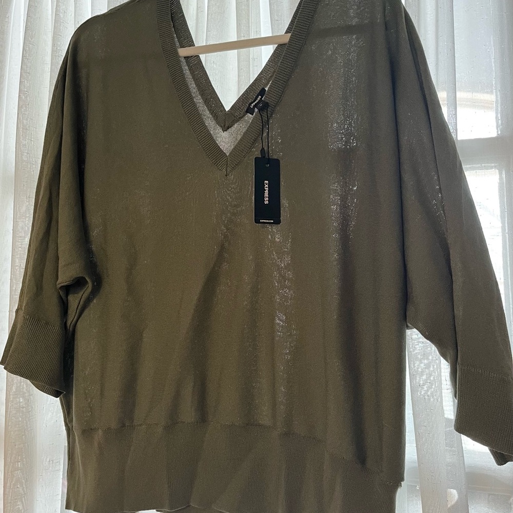 Express Metallic Olive V-Neck Sweater